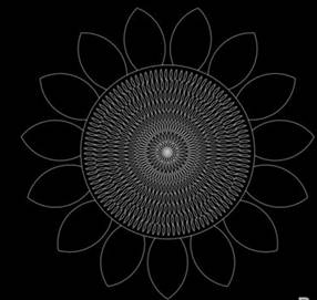 CAD畫(huà)向日葵的步驟